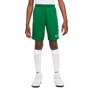 product/n/i/nike_bv6865-302-phsfm001-nw112724.jpg