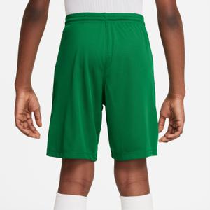 product/n/i/nike_bv6865-302-phsym001-nw112724.jpg