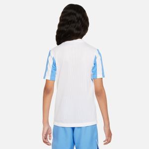 product/n/i/nike_cw3819-103-phsbm001_new.jpg