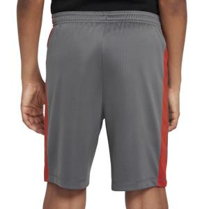 product/n/i/nike_dx5476-068_iron-grey-dragon-red-dragon-red_1.jpg