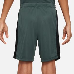 product/n/i/nike_dx5476-338-phsbm001.jpg
