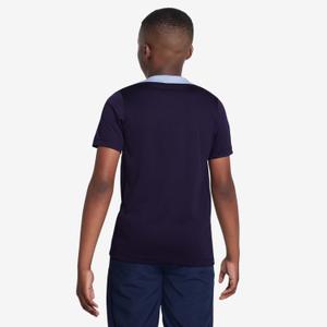 product/n/i/nike_fj3036-498-phsbm001.jpg
