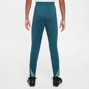 product/n/i/nike_fj3057-381-phsbm001.jpg