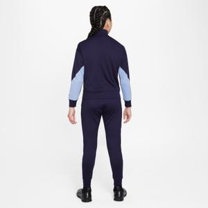 product/n/i/nike_fj3066-498-phsbm001.jpg