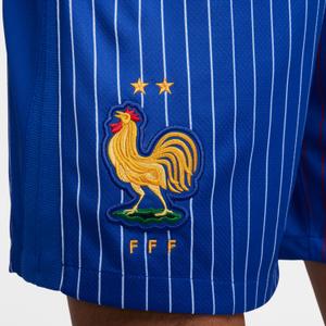 product/n/i/nike_fj4294-452-phsym005.jpg