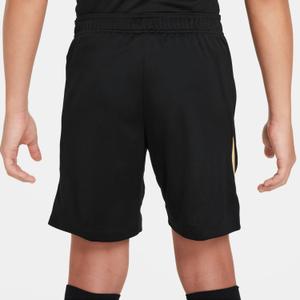 product/n/i/nike_fn8419-011-phsbm001.jpg