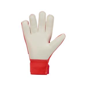 product/n/i/nike_hq0258-635_bright-crimson-black-royal-tint_2.jpg
