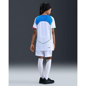 product/n/i/nike_ii9782-100_white-italy-blue-metallic-gold_5.jpg