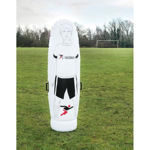 product/p/r/precision_tr738_blanc_1.jpg