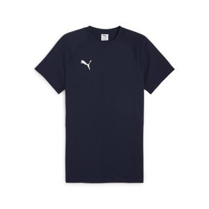 659953-06-t-shirt-puma-team-evostripe-blue