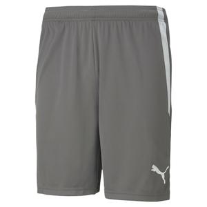 704924-13-short-puma-team-liga-gris-blanc