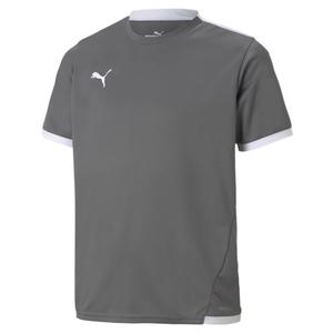 704925-13-maillot-enfant-puma-team-liga-gris-blanc