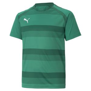 704928-05-maillot-enfant-puma-teamvision-vert-sapin-vert-bouteille-blanc