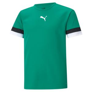 704938-05-maillot-enfant-puma-team-liga-vert-sapin-noir-blanc