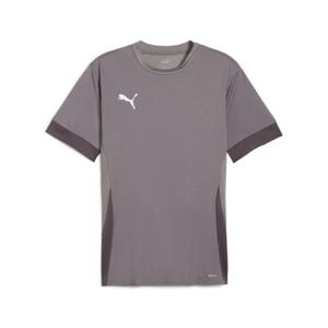 705747-13-maillot-puma-teamgoal-matchday-gray