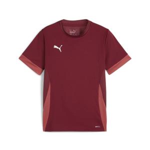 705748-09-maillot-d-entrainement-enfant-puma-teamgoal-rouge