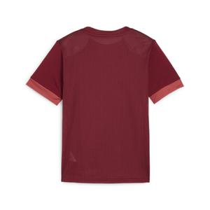 product/p/u/puma_705748-09_rouge_2.jpg