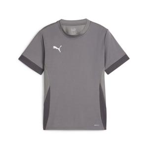 705748-13-maillot-d-entrainement-enfant-puma-teamgoal-gray
