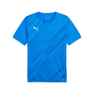707113-02-maillot-enfant-puma-teamgoal-graphic-blue