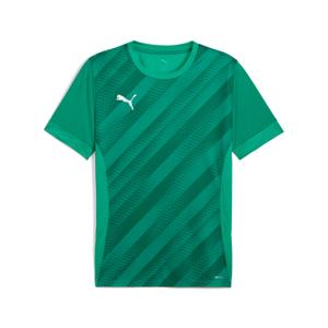 707113-05-maillot-enfant-puma-teamgoal-graphic-green