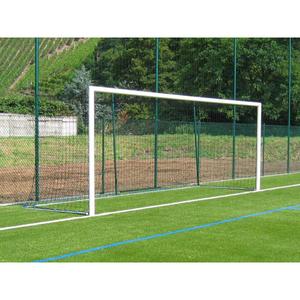 s12211-but-de-foot-a-11-ovoide-en-aluminium-a-sceller-sodex-sport-blanc-7-32x2-44-m