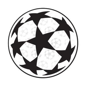 marking-002918-badge-ligue-des-champions-2024-blanc-noir