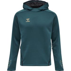211576-7058-sweatshirt-a-capuche-hummel-hmlcima-bleu